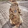 Tactical Dog Harness with 3 Pouches