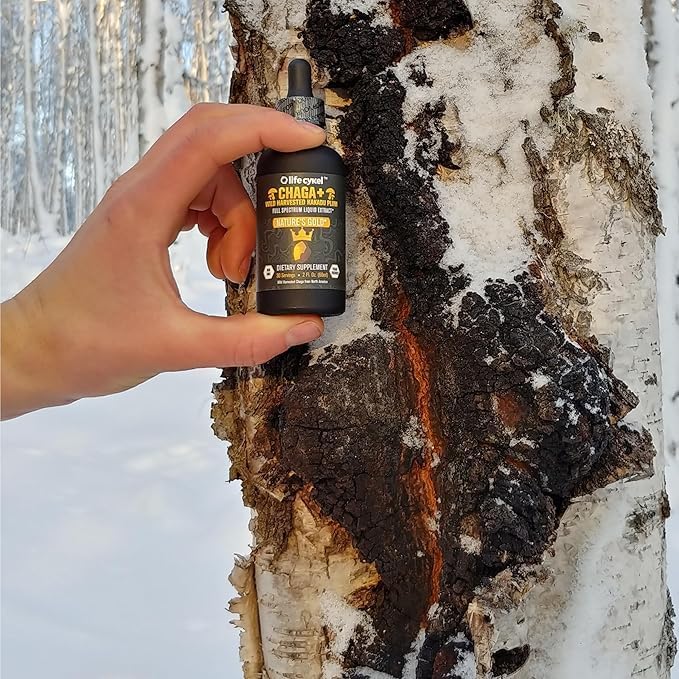 Life Cykel - Chaga Mushroom Extract with Kakadu Plum - Double Extracted Mushroom Tincture - Non-GMO Immune Support Supplement for Adults and Kids - 1 Fl Oz - Image 3