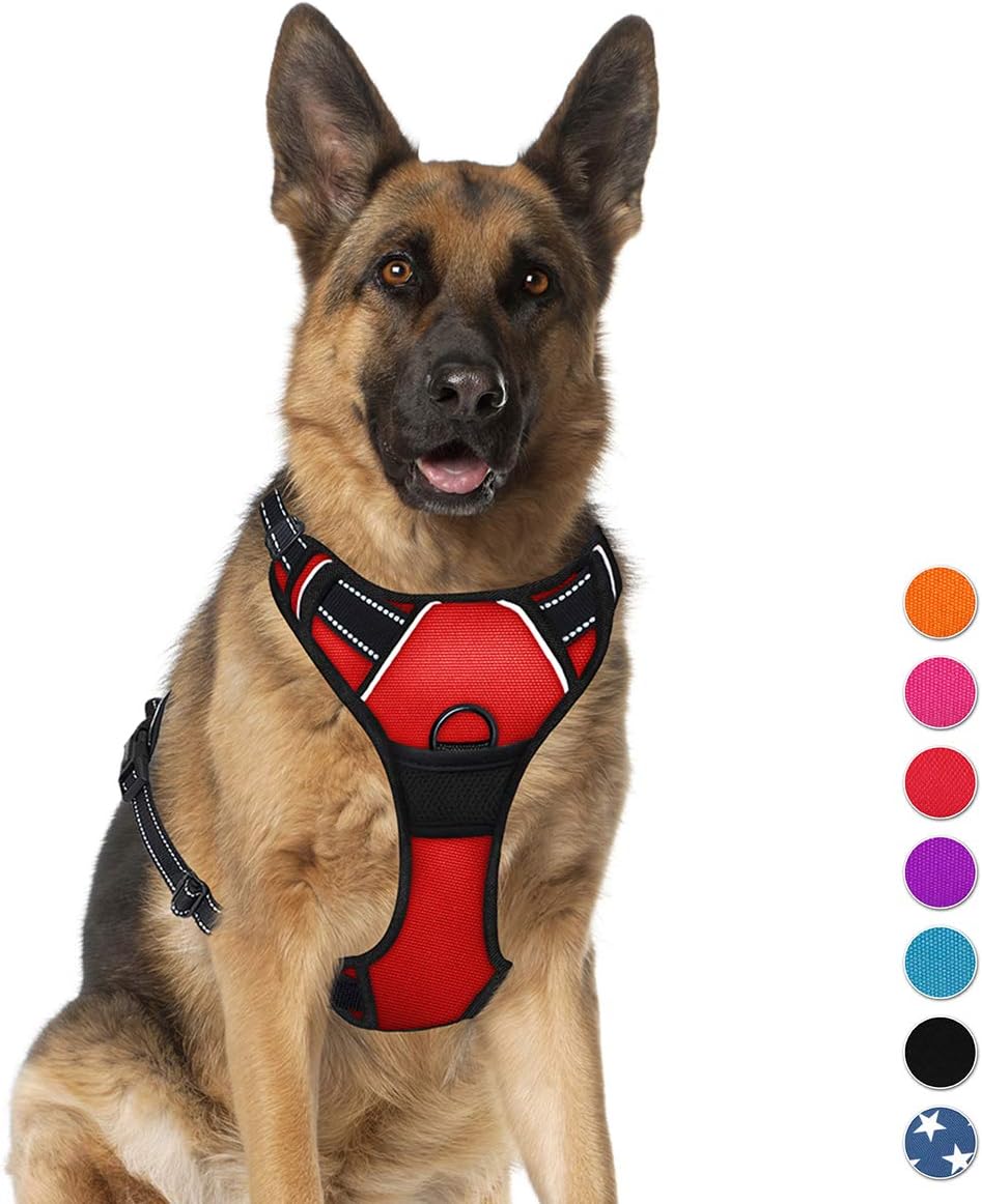 julius k9 fitting guide