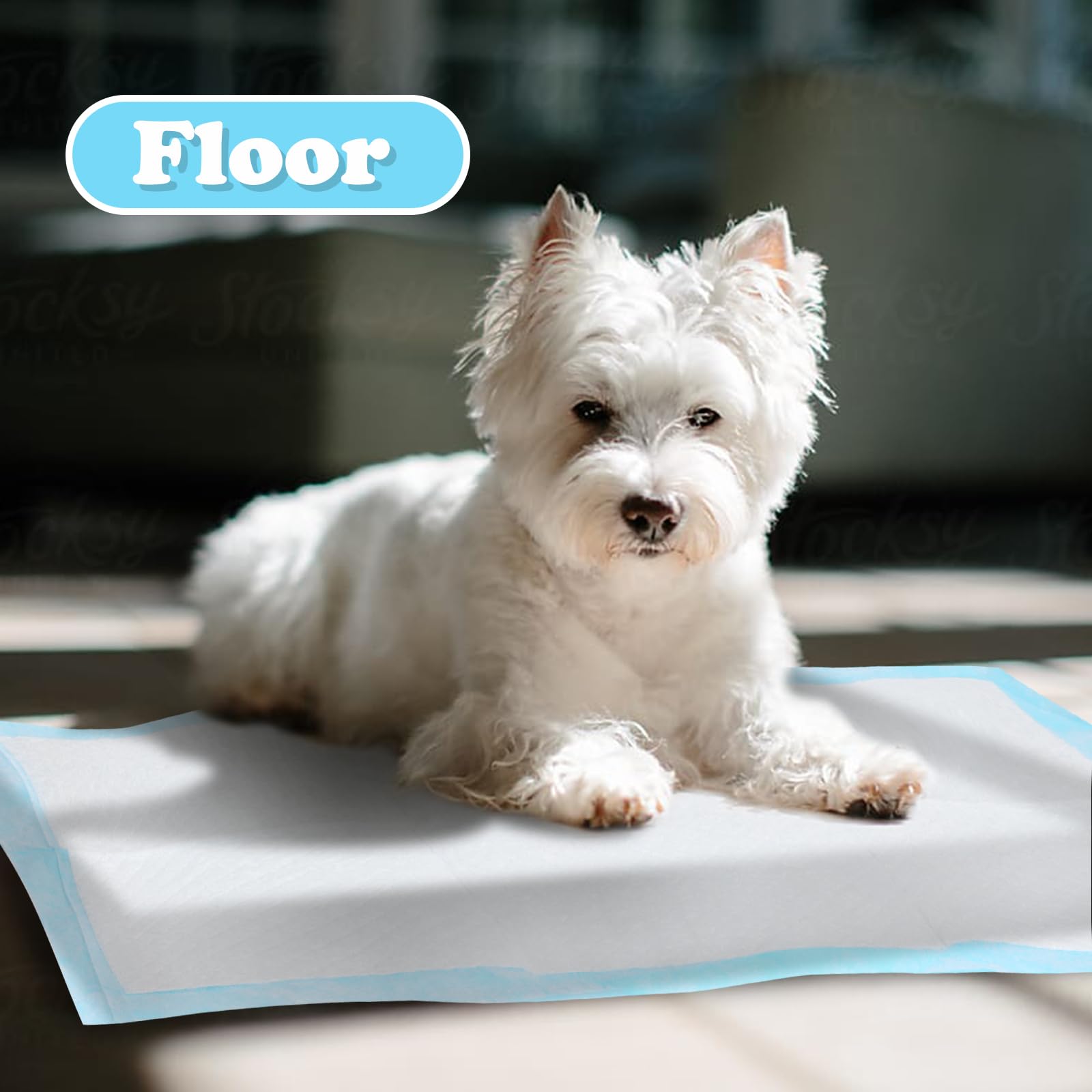 Nobleza - 120 x Empapadores Perros Alfombrilla higiénica de Entrenamiento para Perros. Ultraabsorbente 90cm*60cm