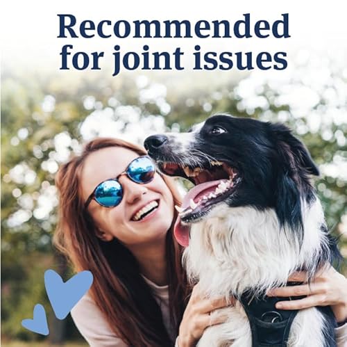 PetArmor Aspirin for Small Dogs, Fast Acting Anti-Inflammatory and Pain Relief For Dogs, Vet-Quality Joint Support and Pain Meds for Dogs, 75 Liver Flavored Tablets - Thumbnail 5