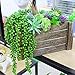 Outee 14 Pcs Fake Succulents Plants Artificial Succulents Assorted Faux Succulents in Bulk Artificial Hanging Succulents Flocking Texture Bouquet String of Pearls Succulent Decor