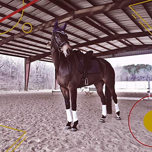 Kavallerie Dressage Horses Boots: Fleece-Lined Faux Leather Woof Brushing Boots for Training, Jumping, Riding, Eventing - Quick Wear for Breathable, Lightweight & Impact-Absorbing Wrap Black