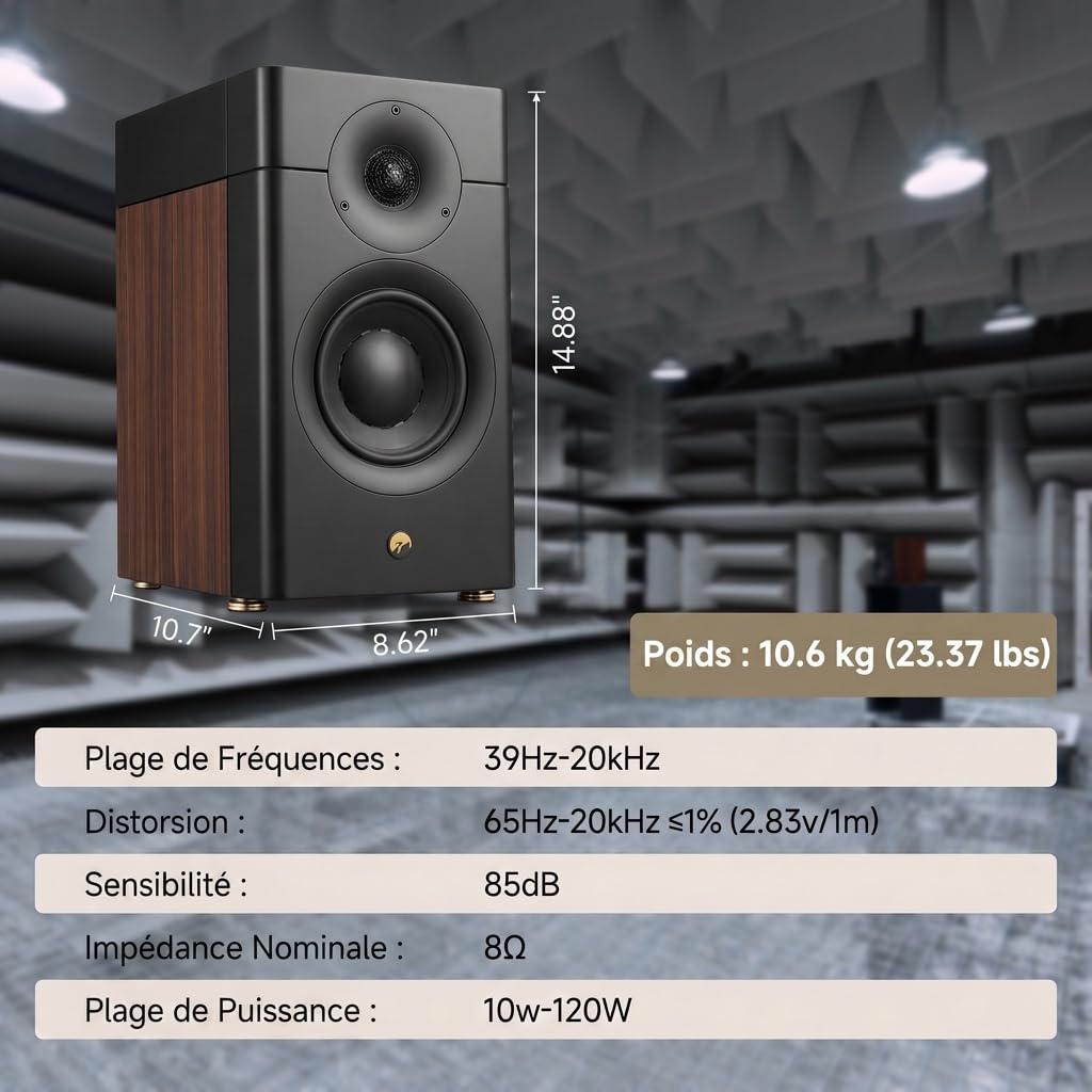 HiVi-Swans Enceinte Passive de bibliothèque D3.1 MKII, Paire d'enceintes domestiques 2 Voies 6,5 Pouces – Nécessite Un amplificateur ou Un récepteur pour fonctionner