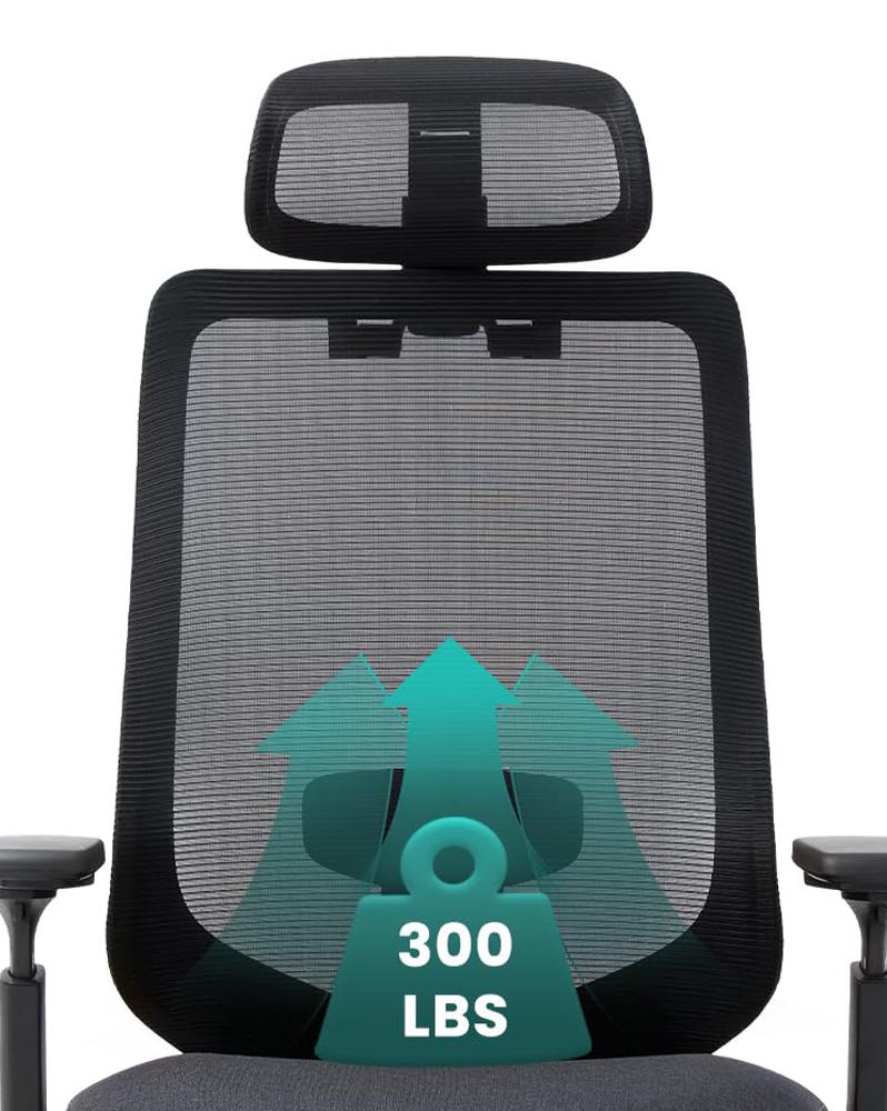 Amazon.com: COLAMY Ergonomic Mesh Office Chair,High Back Computer