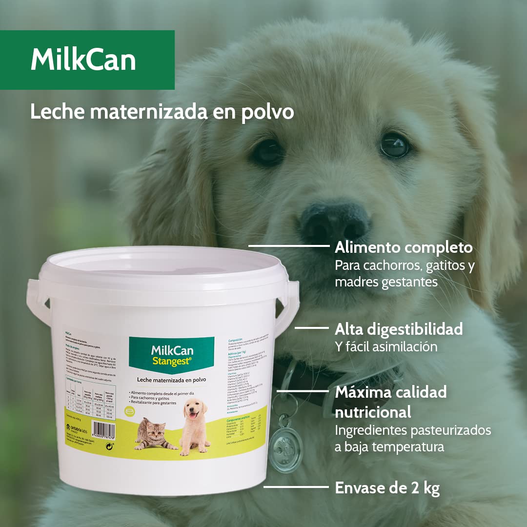 Stangest Mleko w proszku MilkCan | Mleko dla kotów i psów | Mleko w proszku | Suplement do karmienia piersią | Wysoka strawność i łatwa asymilacja | 2 kg