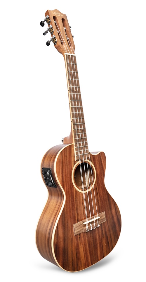 5-String Ukulele, Black,Chrome,Clear (ACST-5CET)