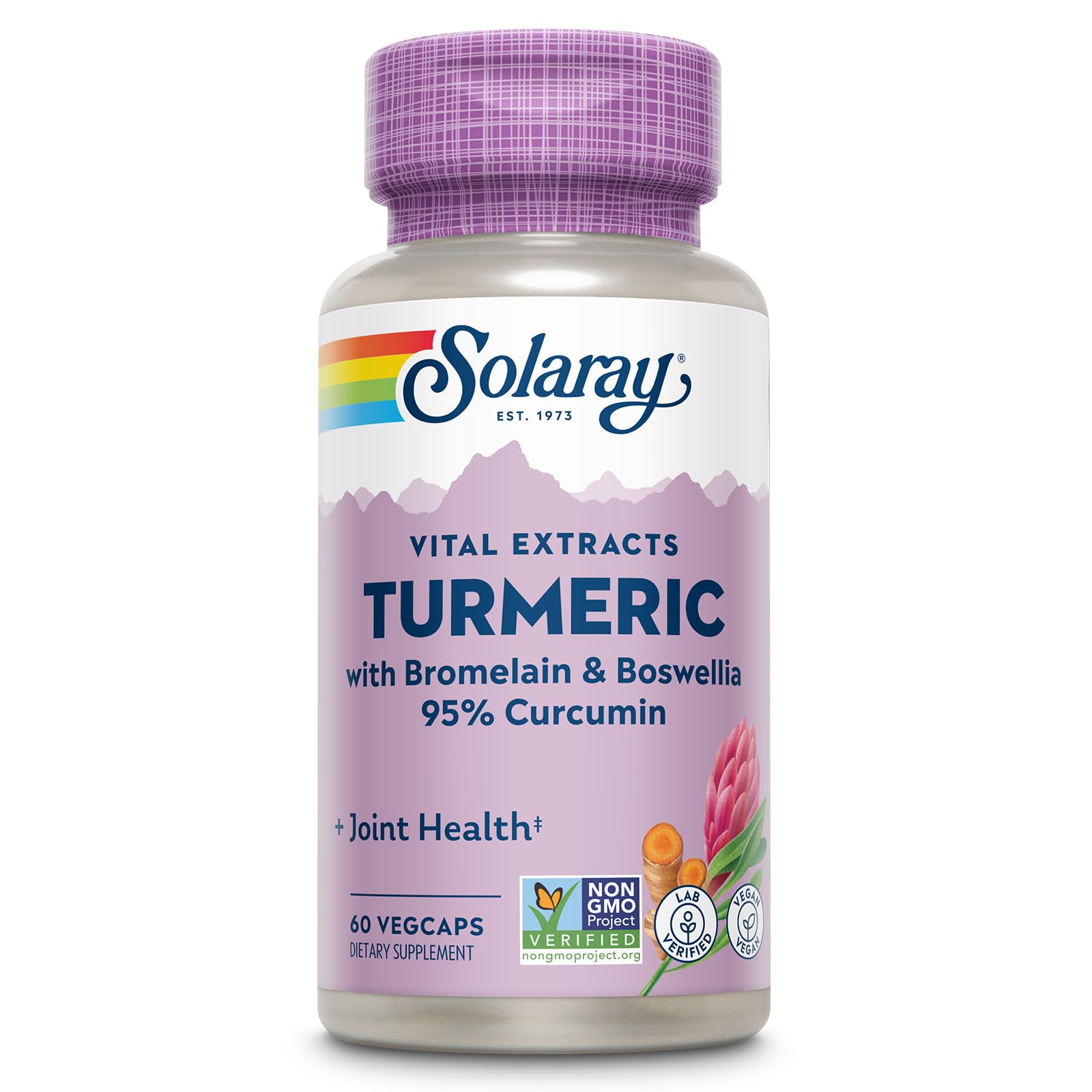 SOLARAY Turmeric Supplement with Bromelain and Boswellia, 95% Curcumin, Turmeric Curcumin Supplement for Joint Support, Gallbladder, Liver Support, Non-GMO, Vegan, 60-Day Guarantee, 60 Servings