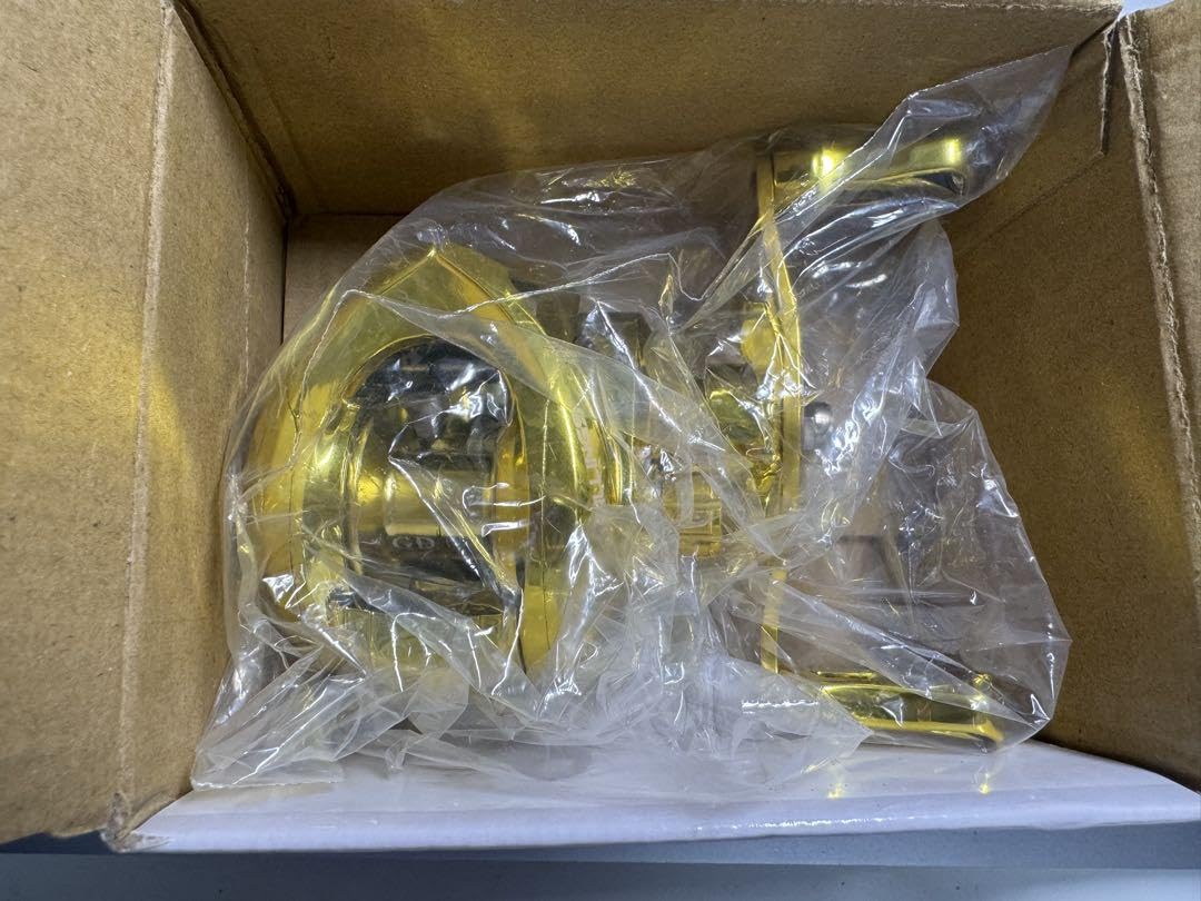 Amazon.co.jp: カルクッテコワレソ200 金リールBILLINGS GD 200