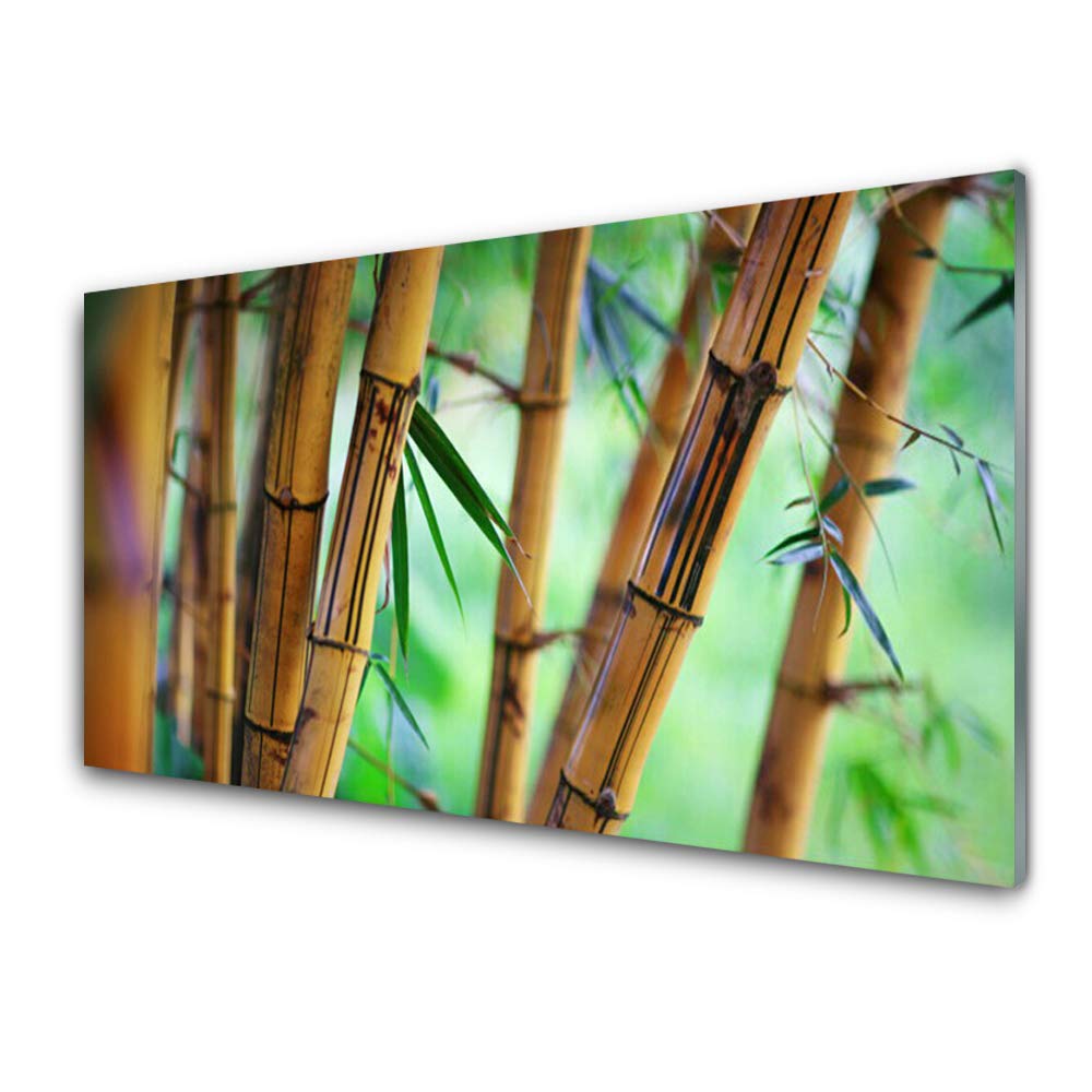 Tableau Nature Bamboo en Verre Acrylique 100x50cm avec 4 Crochets