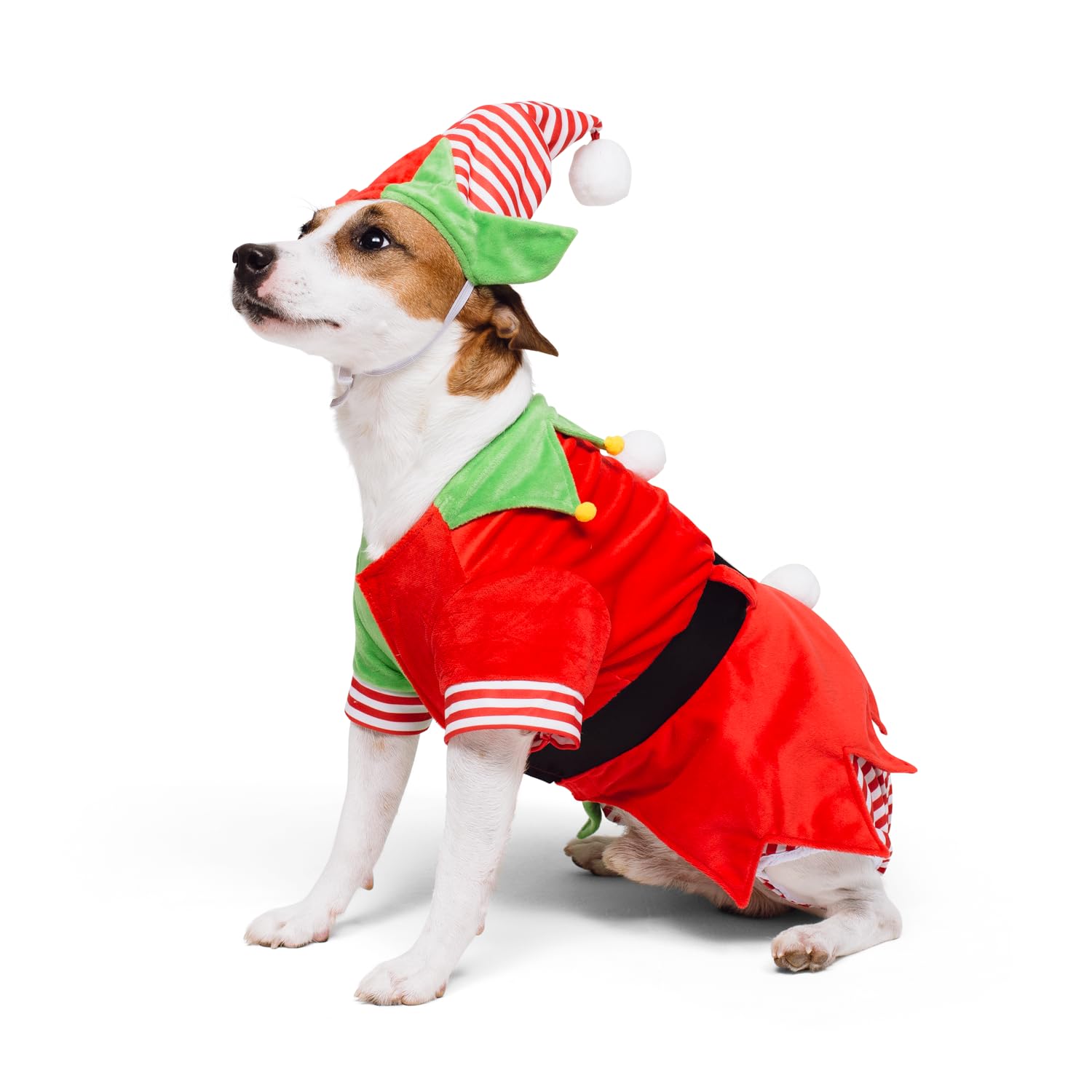 Show and Tail The ELF Dog Costume for Halloween Christmas and Party wear Costume - Medium