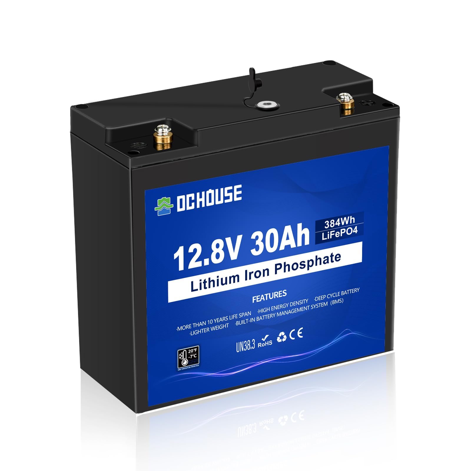 DCHOUSE 12V 30Ah Mini LiFePO4 Battery with DC Port, 30A BMS with Low Temp Cut-Off, BCI Group U1, 4000+ Cycles, Replace 12V 20Ah/35Ah for Electric Wheelchair, Ham Radio, Golf Trolley, Mobility Scooters