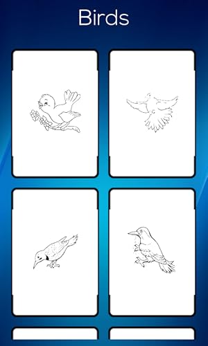 Birds Coloring Book Vol -2