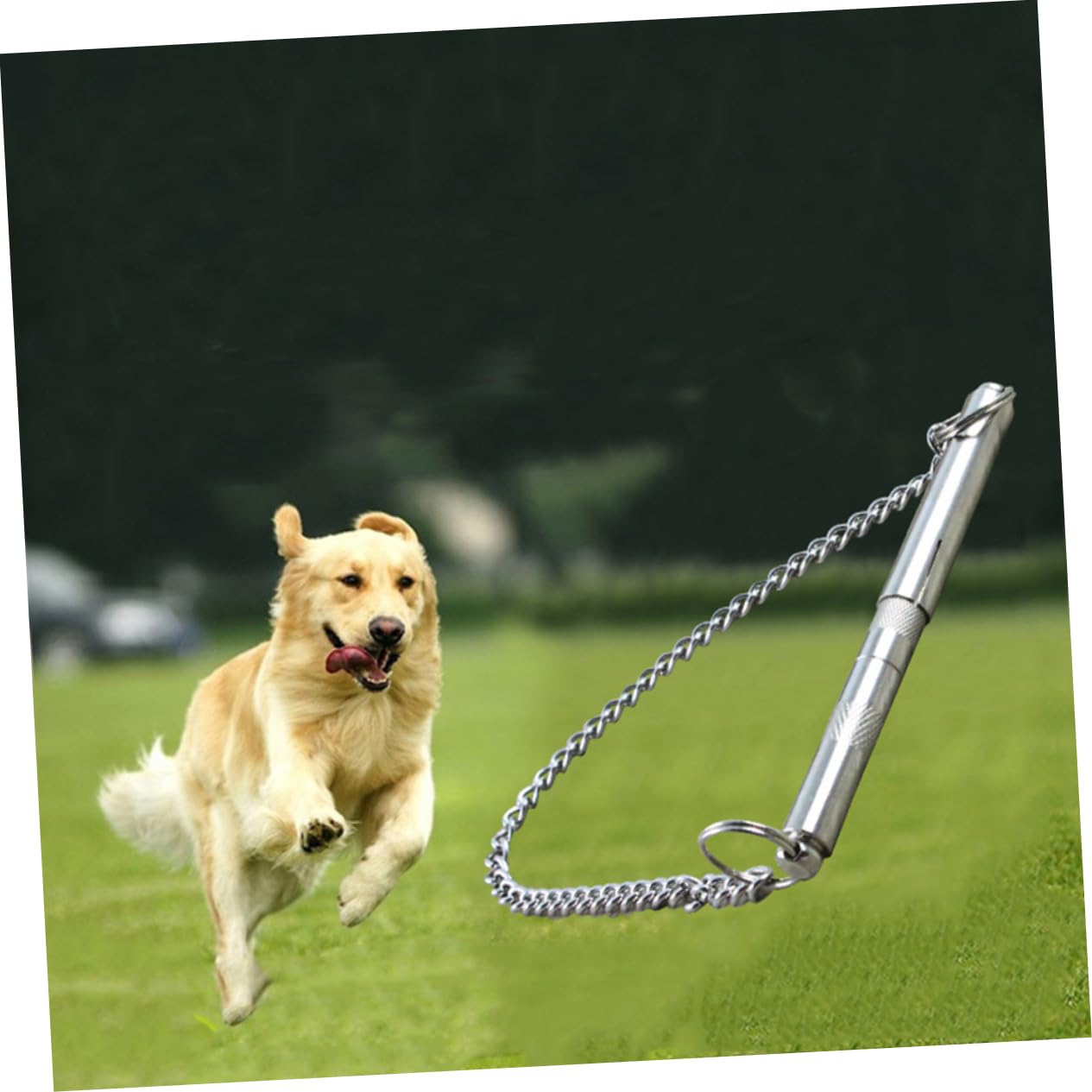 Didiseaon 3pcs Sound Dog Training Whistle No Barking Device for Dogs High Frequency