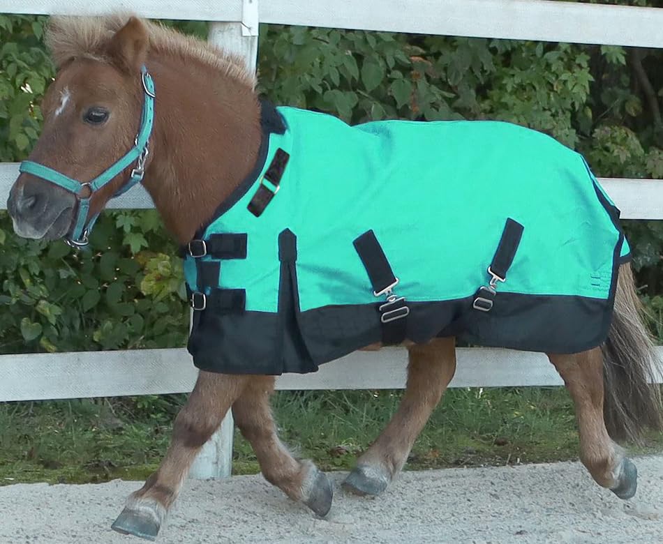 Amazon.com : Rugged Ride Mini/Pony 1200 Denier Adjustable Neck