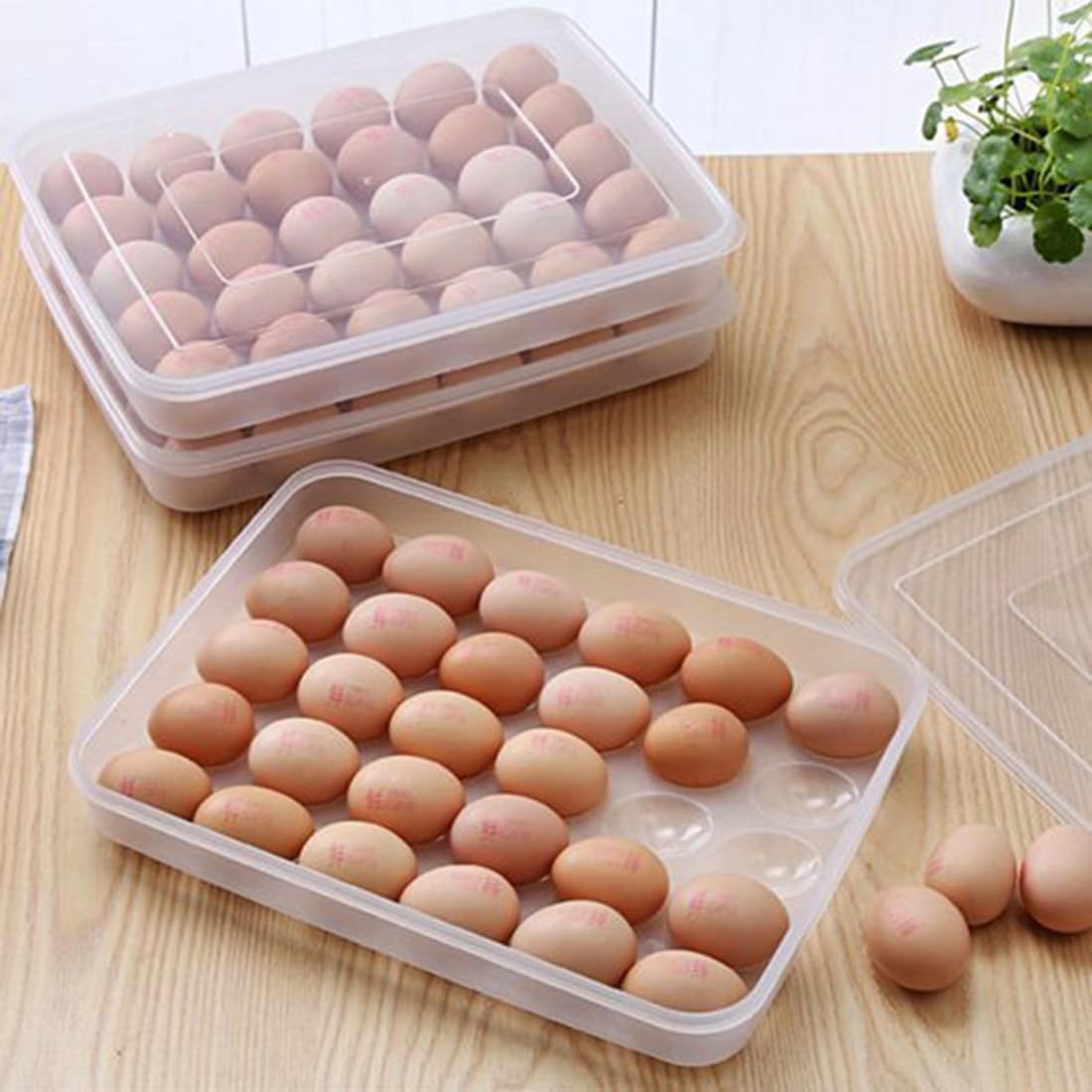 Styleys Plastic Egg Tray for Fridge 30 Eggs, Egg Box Transparent (S2172), rectangular
