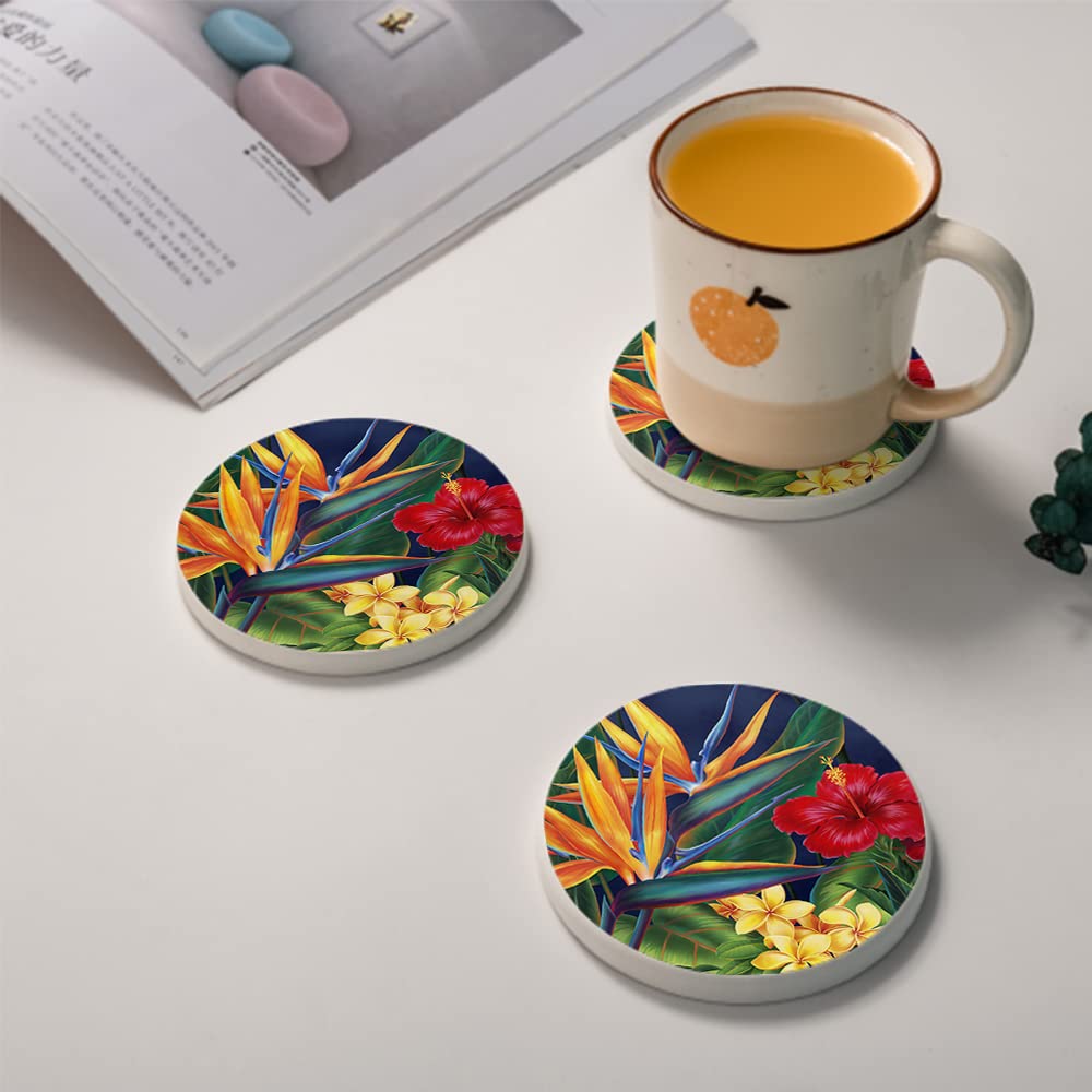 Vibiliyou Coasters for Drinks Tropical Bird of Paradise Absorbent Ceramic Set of 6,Coaster,Round Stone Mat,with Cork Base and Metal Holder for Room Bar Home Decor Housewarming Gifts - Image 4