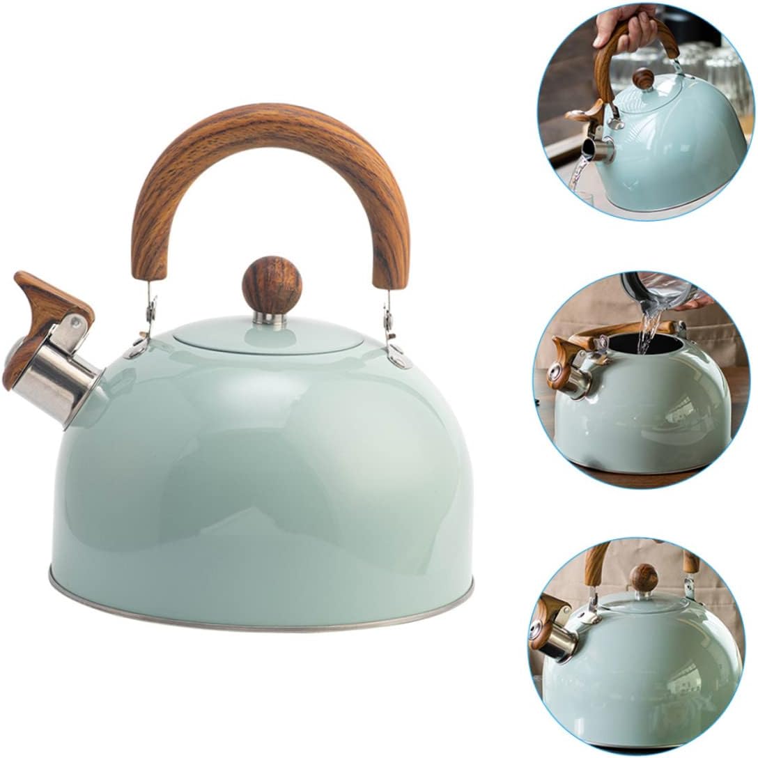 Whistling Kettle 3L Stainless Steel Tea Pot Handle Creative Sounding Kettle for Boiling Water for Home and Kitchen