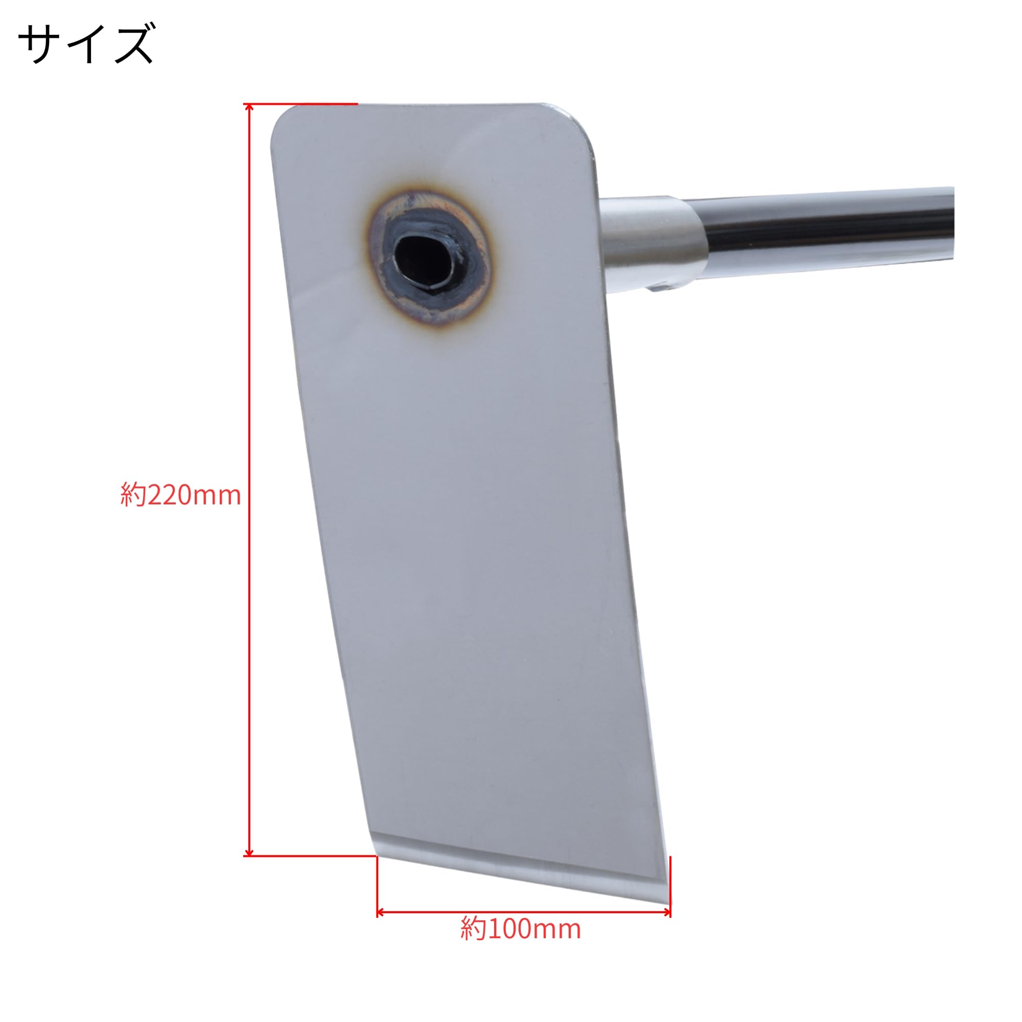 高菜◎お急ぎ3日 10/28～ 楽天市場】【半額セール 888円⇒444円】お一人様1袋限り 辛子