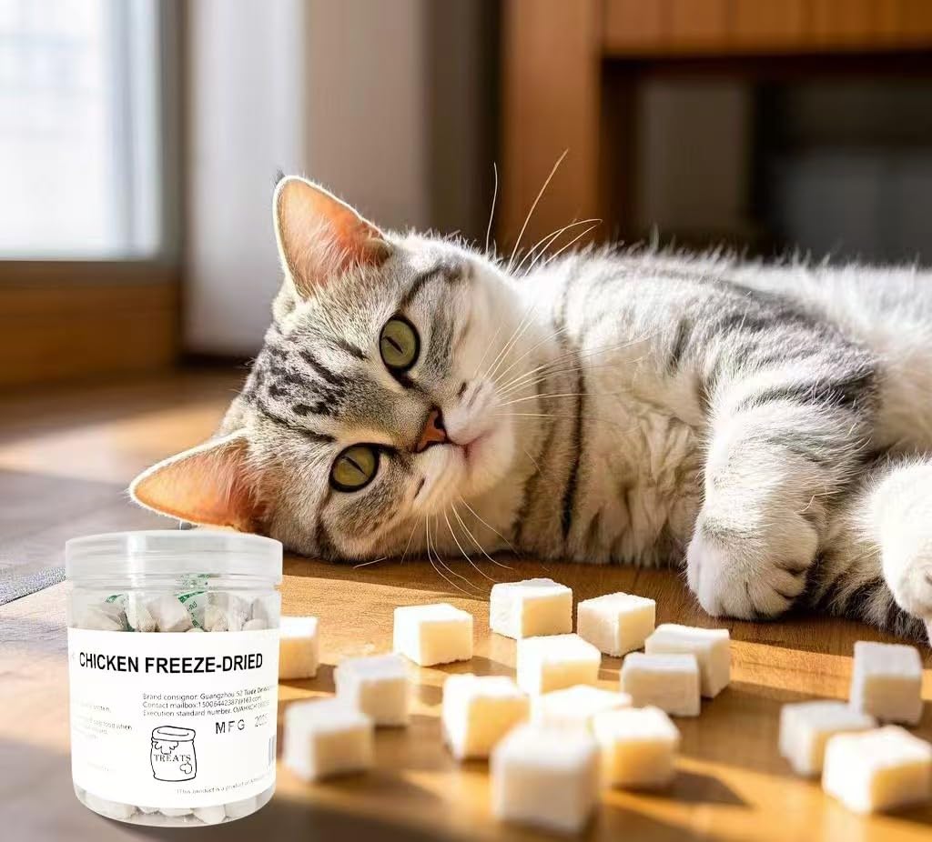 Fangool 1.8oz,Chicken Freeze Dried,Granules,Freeze-Dried Raw Chicken,Cat Treats Healthy Pet Training Treats or Food Topper,High Protein