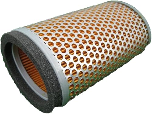 Triumph Filtro de aire T2201548