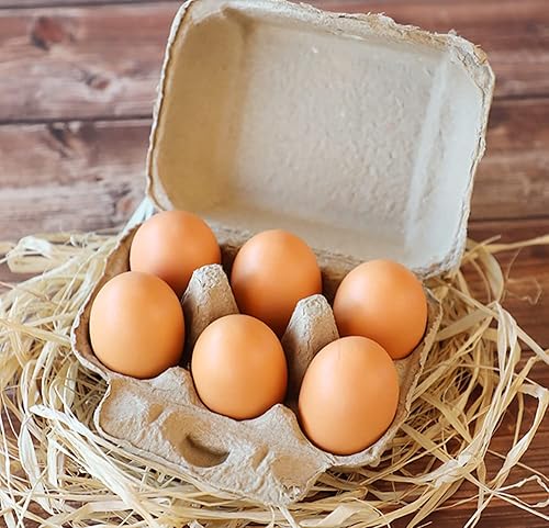 Miniatura 6 de Lawei Paquete de 30 cartones vacíos para huevos, 6 celdas de fibra de pulpa para huevos, contenedores de almacenamiento de huevos para familia,
