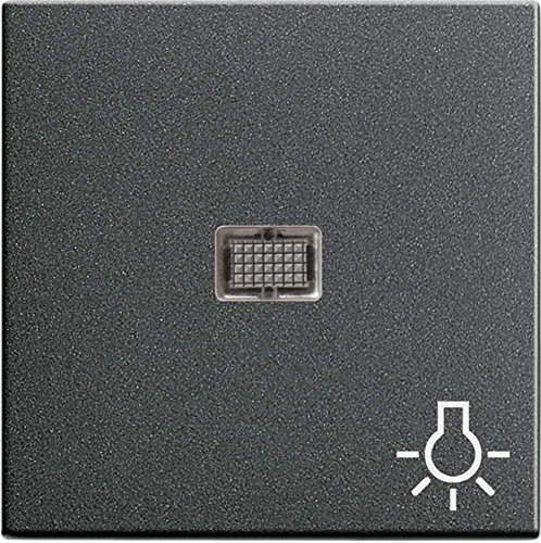 Gira 063028 Wippe Kontroll groß Symbol Licht System 55, anthrazit