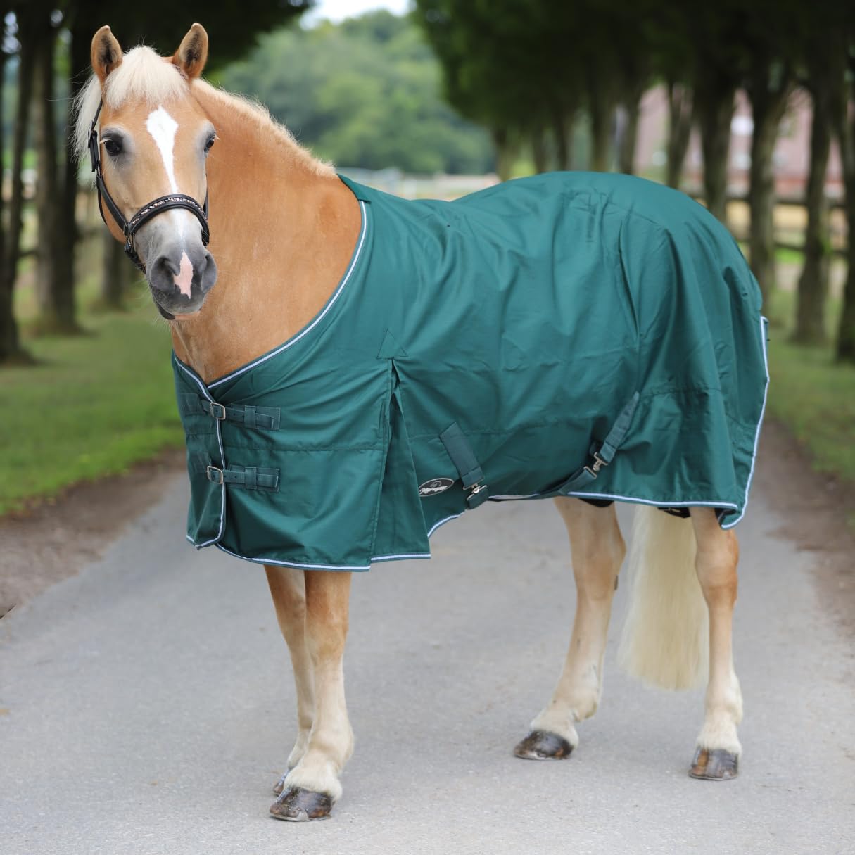 Marengos - Regendecke 600D Comfort – Pferdedecke mit Innenfutter – ideal als Weidedecke – wasserdicht & atmungsaktiv – mit Kreuzgurten, Gehfalten & Schweiflatz – Tannengrün – 165cm | Pferdedecke mit Innenfutter – ideal als Weidedecke – wasserdicht & atmun