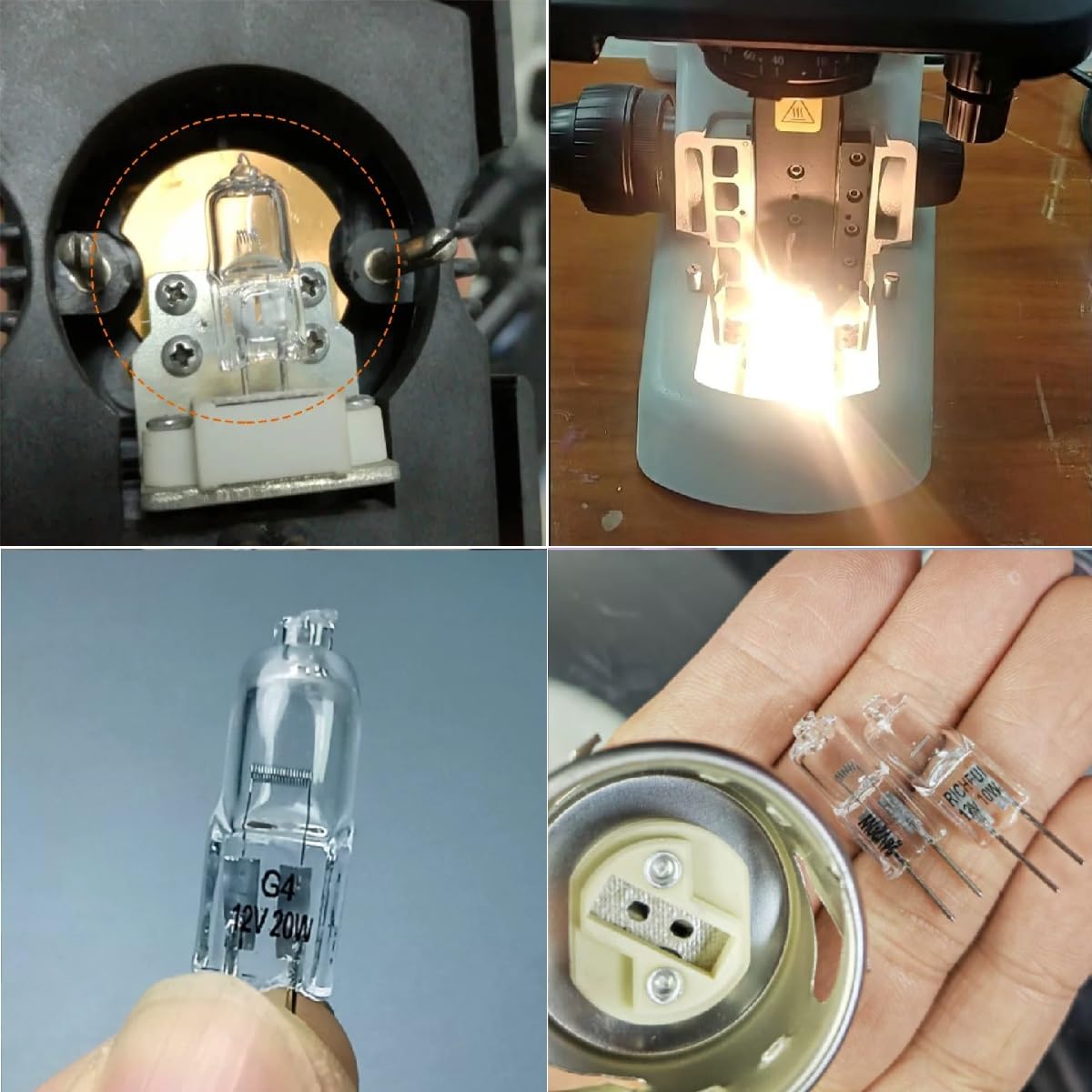 G4 Halogenlampen 6V 12V 24V 110V 230V, dimmbarer T3 JC Bi-Pin-Sockellampe, warmweiß für den Kronleuchter, Mikroskop-Laboroptikinstrumente (20 PC/230V-35W)