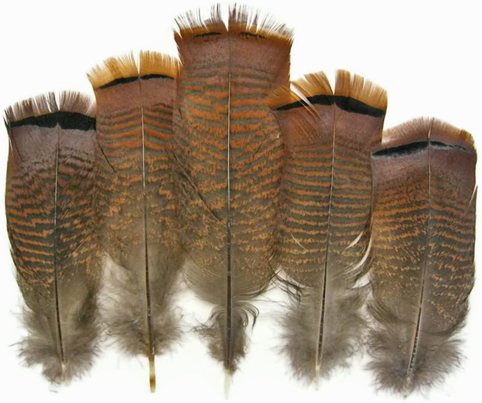 Moonlight Feather, 5 Pieces - Big Natural Brown Wild Barred Turkey Flat Tail Feathers Smudging, Indian, Carnival, Costume, Headdress