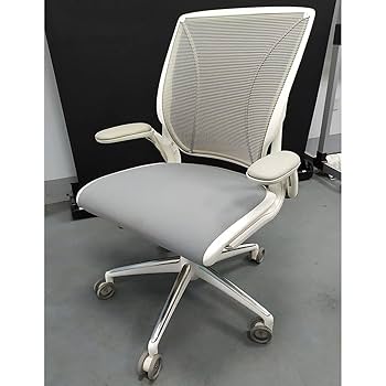 定侕以下❗️PROFESSIONAL PADDED SETUP GRAY Amazon.com: ZZH Mesh Office Chair with Adjustable Lumbar