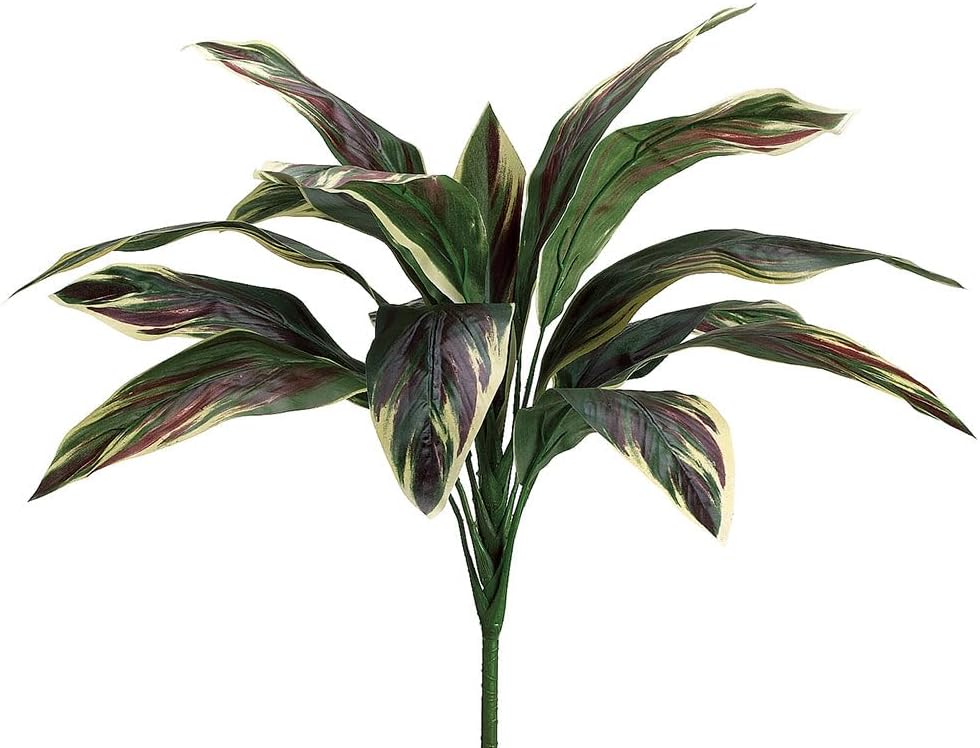 26" Cordyline Silk Plant -Green/Pink (Pack of 12)