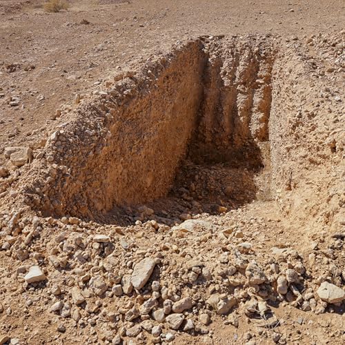 Syrian mass grave, U.S. data darkness and French pensions Podcast Por  arte de portada