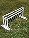 Dog Agility Long Jump, Broad Jump Portable Agility Equipment Bar Jump for Dogs