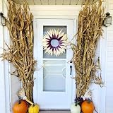 Dried Corn Stalks Bundle – Natural Fall Harvest Decor for Halloween & Thanksgiving – Rustic Porch, Fence, and Yard Decoration – 10 Stalk Set (Choose 24' to 72') (32 Inches)