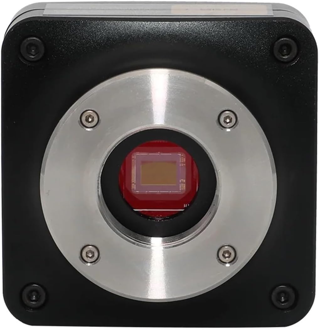 Eveくじ UC電子籤引 Eve賞 キャラキャップ リリン 選べる 復刻限定