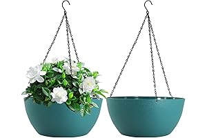 Expansive Hanging Planter for Indoor and Outdoor Greenery