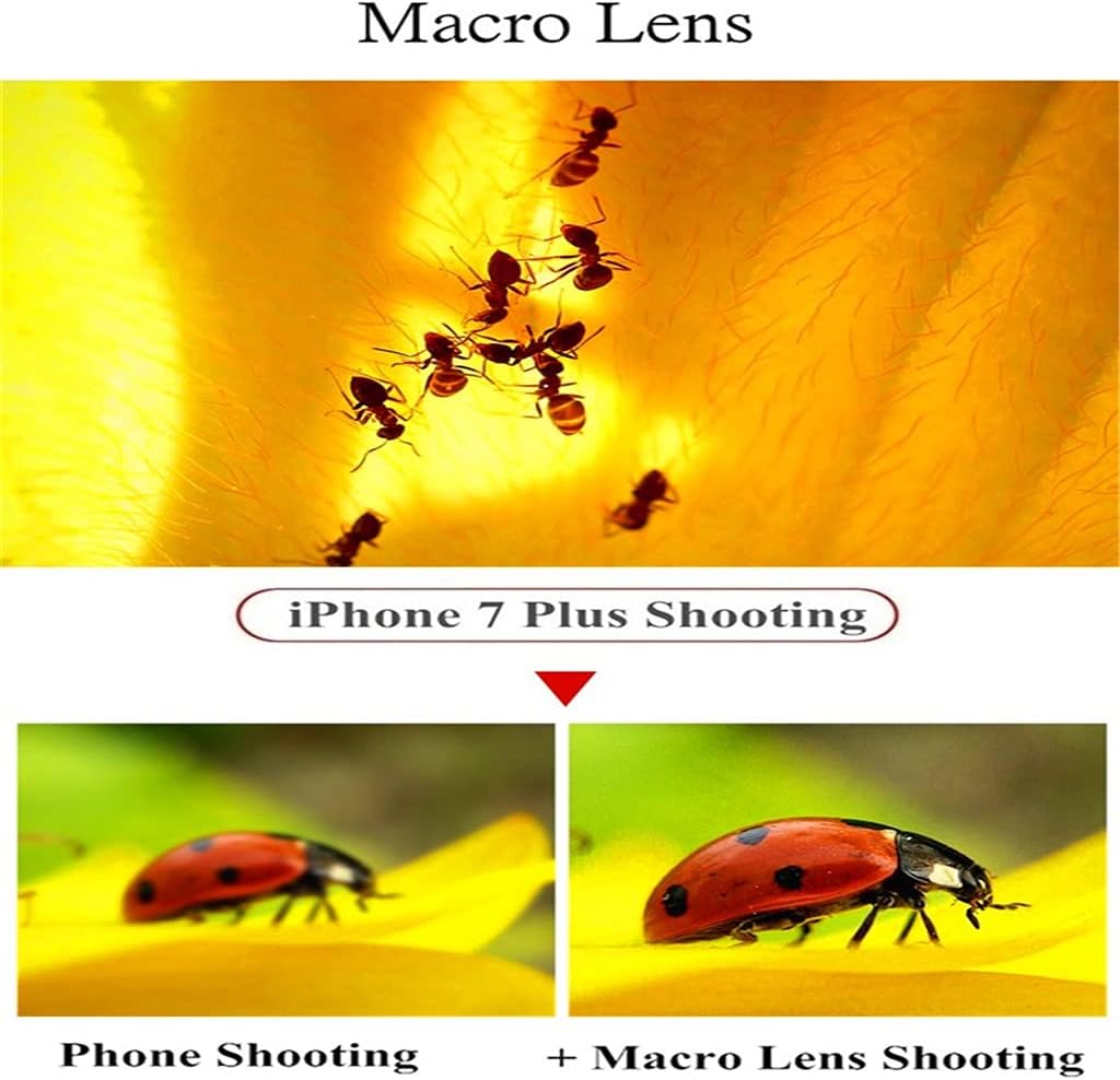 Universal 3 in 1 Phone Camera Lens Kits 210 Degree Fish Eye Lens 0.6X Wide Angle 15X Macro Lenses for Most of Smartphones