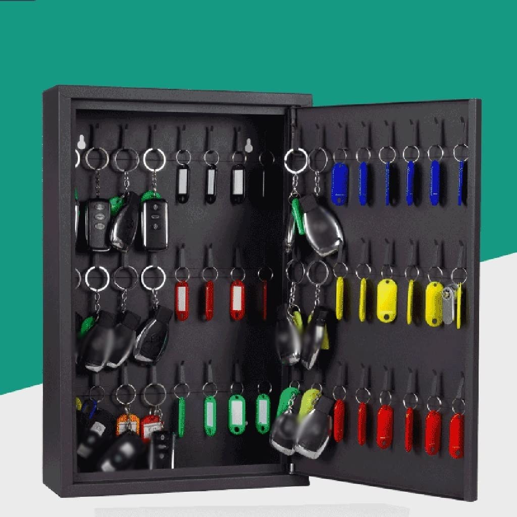 Armoire à clés sécurisée avec serrure à code pour 48 clés avec étiquettes et hoo Idéal pour la maison, le bureau ou le travail