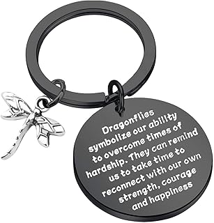Dragonfly Gift Dragonfly Lover Gift Dragonfly Key Rings Dragonfly Inspirational Gift Encouragement Gift for Friend Dragonfly Spiritual Gift