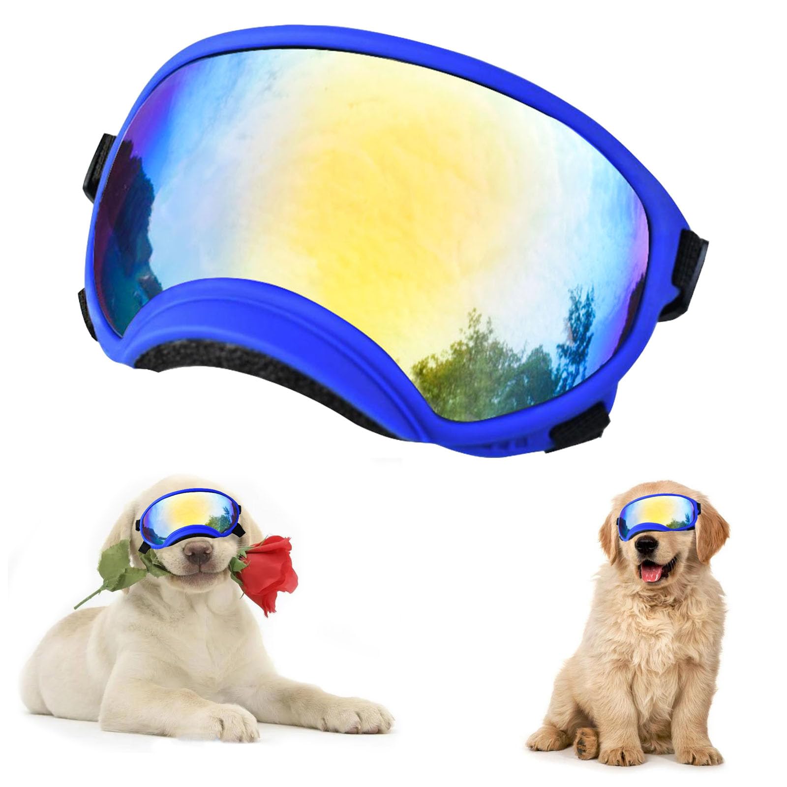 Lunettes de soleil pour chien idéales pour les balades en plein air et randonnées
