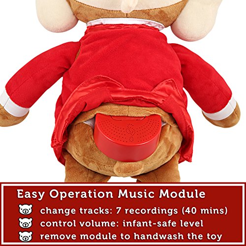 Wolfgang Amadeus Mozart Baby muziek teddybeer pluche dier, 40 min