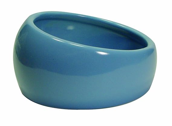 Living World Ergonomic Dish, Blue, Small