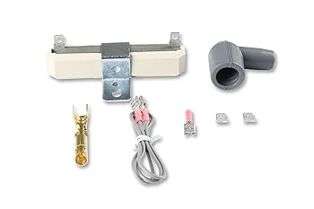 MSD Blaster 2 点火コイル Amazon | MSD 82023 イグニッションコイルブラスター 2