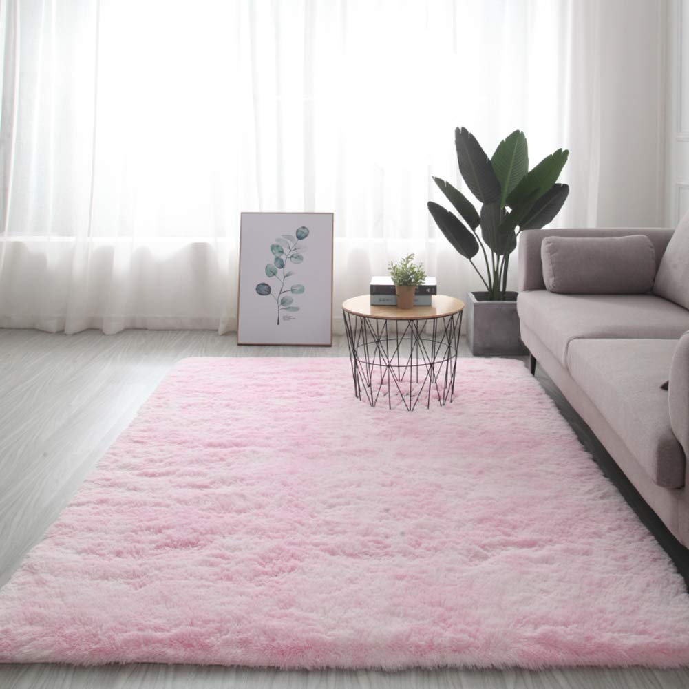 VBGHB Ultra Soft Fluffy Area Rug, for Decor Kitchen Dormitory Cozy and Comfy Carpet, Luxury Shaggy Rug Floor Mat-d 80x160cm(31x63inch)