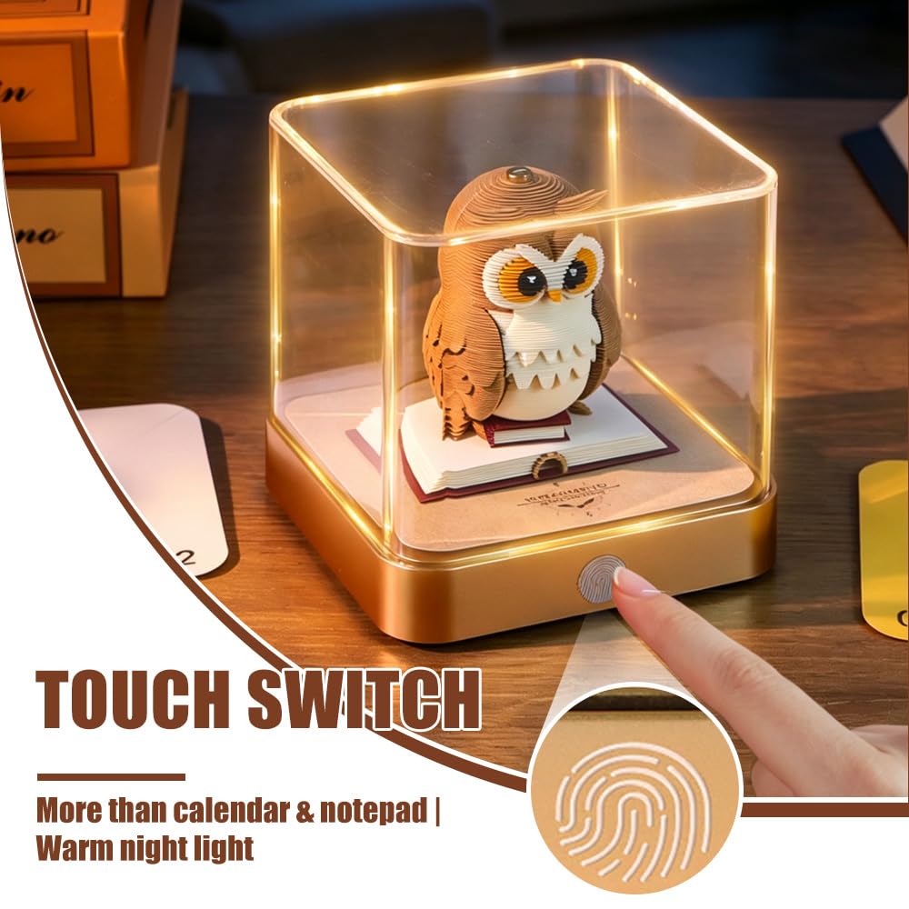 View 5