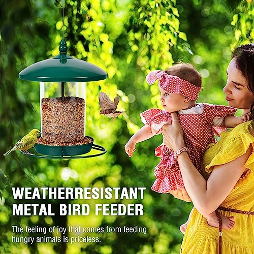 Youvip Bird Feeders For Outside,Metal Bird Feeder Holds 2.5Lb Seeds,Bird Feeder For Outdoors Hanging,Weather Resistant Feeder For Outdoor Garden.Green thumb #7