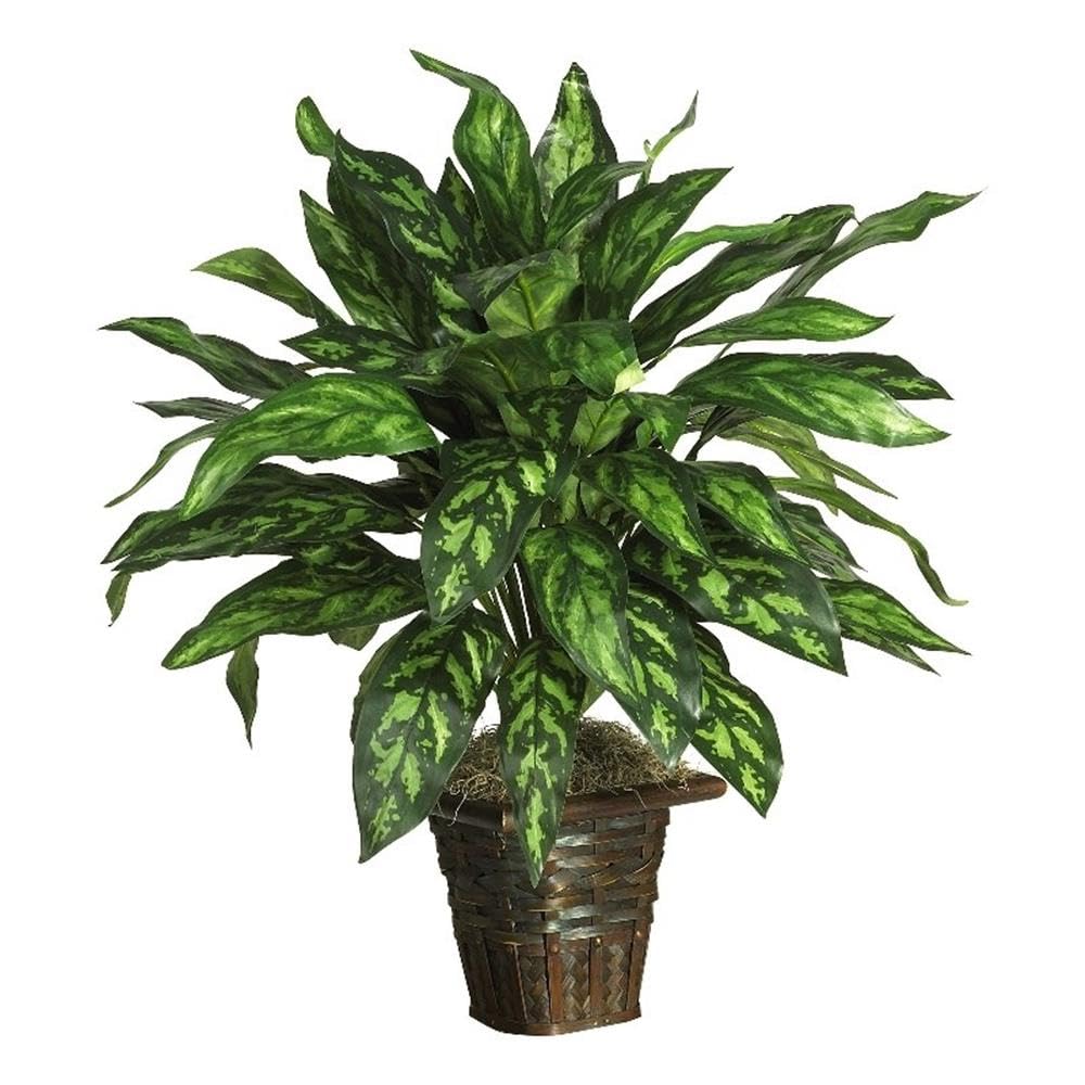 Nearly Natural Silver King with Basket Silk Plant