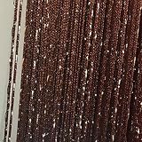 Duosuny 110x110 Inch Door String Curtain Rare Flat Silver Ribbon Thread Fringe Window Panel Room Div