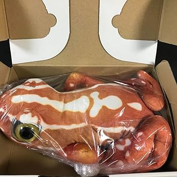 Amazon.co.jp: （21）オレンジ色のカエル リアル ぬいぐるみ